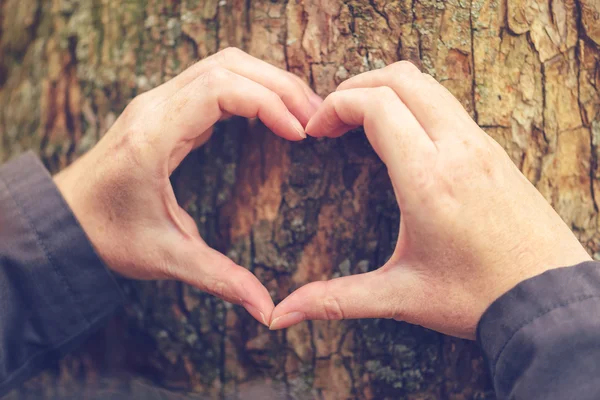 Vrouwelijke handen gebaren hart aanmelden boomstam, ecologie concept — Stockfoto