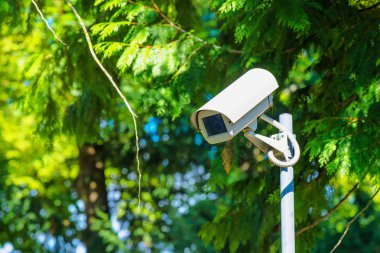 CCTV Güvenlik Kamera gözetimi yeşil Park için