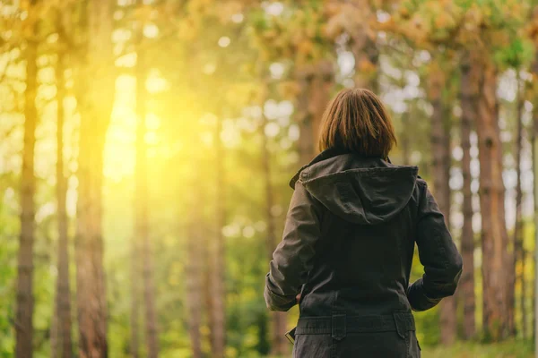 Vue arrière de la femelle décontractée regardant la lumière du soleil à travers les arbres — Photo