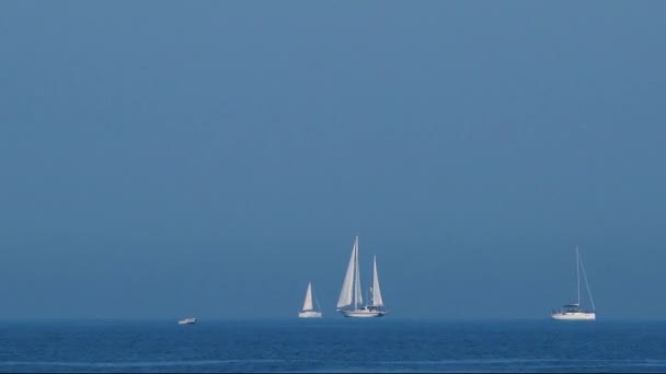 Bílé jachty a plachetnice na moře — Stock video