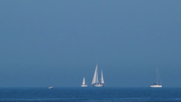 Vita yachter och segelbåtar vid havet — Stockvideo