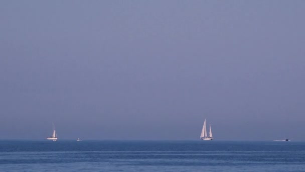 Yachts blancs et voiliers à la mer — Video