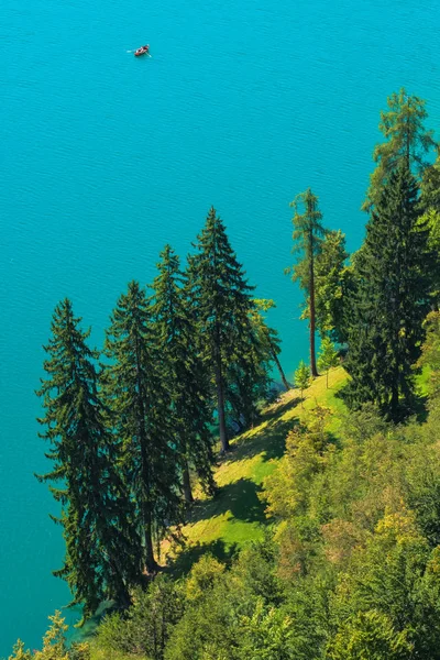 Vue aérienne de pins et sapins au bord du lac de Bled — Photo