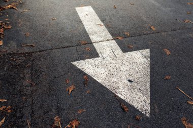 Asfalt yol, trafik işaretleri üzerinde beyaz ok
