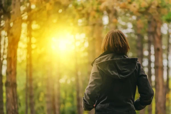 Pohled zezadu na příležitostné ženského pohledu na slunce mezi stromy — Stock fotografie