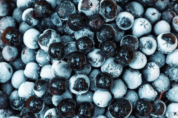 Frozen aronia chokeberry berries in a bowl — Stock Photo, Image