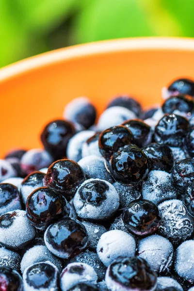 Bayas de aronia congelada en un tazón — Foto de Stock