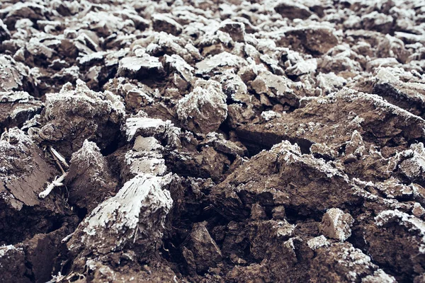 Fryst upplöjd jordbruksområdet täckt med frost — Stockfoto