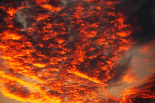 Apocalyptic orange clouds in winter sunset — Stock Photo, Image