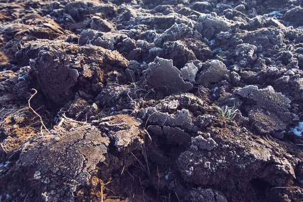 Frosted arable land — Stock Photo, Image