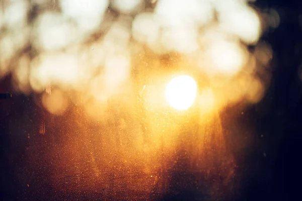 Abstract morning sunlight, blur background copy space — Stock Photo, Image