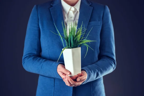Donna d'affari con vaso di piante — Foto Stock