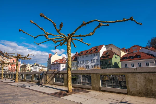 Cankarjevo nabrezje, pięknej promenadzie w pobliżu rzeki Ljubljanica — Zdjęcie stockowe