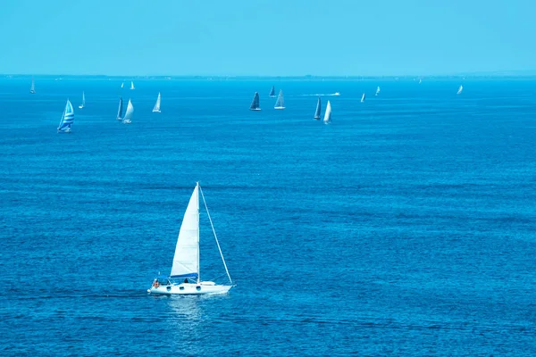 White yachts sailing at sea — Stock Photo, Image