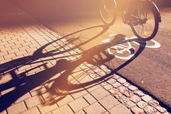 Schatten von unkenntlich gemachtem Radfahrer auf Radweg — Stockfoto