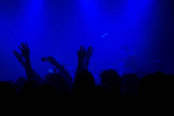 Music concert crowd, people enjoying live rock performance — Stock Photo, Image