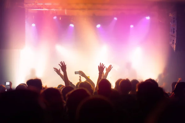 Musica concerto pubblico, persone che godono di performance rock dal vivo — Foto Stock