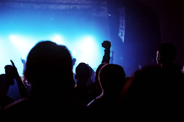 Music concert crowd, people enjoying live rock performance — Stock Photo, Image