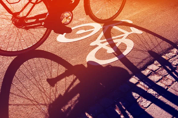 Shadow of unrecognizable cyclist on bicycle lane — Stock Photo, Image