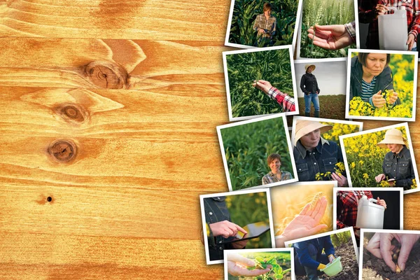 Donna in agricoltura e agricoltura, collage fotografico con spazio per fotocopie — Foto Stock