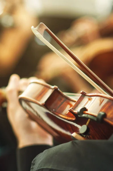 Lid van klassieke muziek orkest viool spelen op een concert — Stockfoto