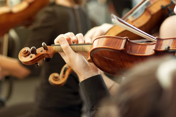 Miembro de la orquesta de música clásica tocando el violín en un concierto —  Fotos de Stock