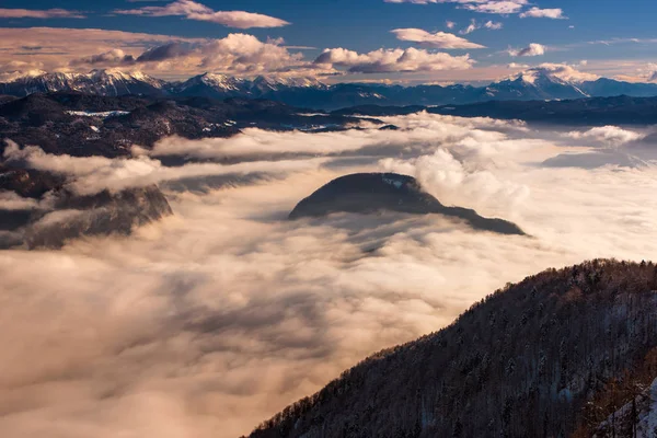 Fog over Bohinj valley lake, aerial view