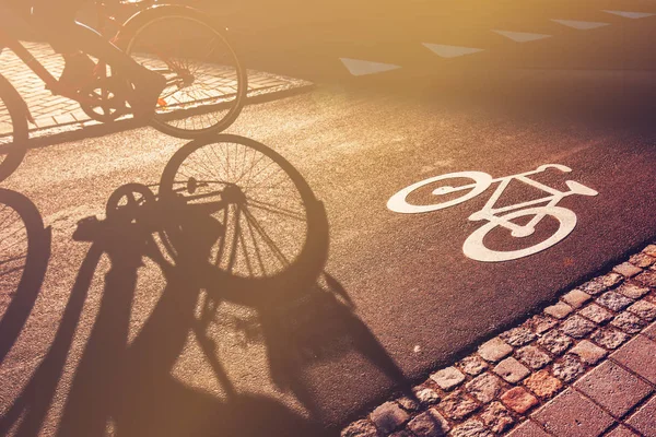 Schaduw van wielrenner op fiets lane — Stockfoto