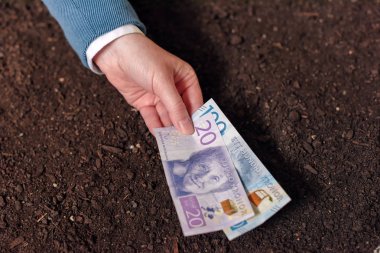 Tarım başlangıç için İsveç para birimi cinsinden kredi banka ve debel