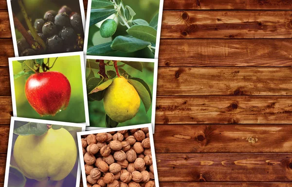 Produzione biologica di frutta, collage fotografico con spazio per la copia — Foto Stock