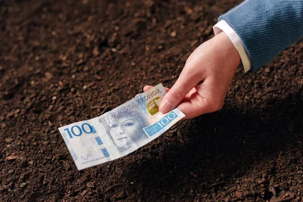 Préstamo bancario en moneda sueca para la creación y debel de agronegocios —  Fotos de Stock