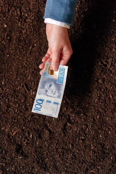 Préstamo bancario en moneda sueca para la creación y debel de agronegocios —  Fotos de Stock