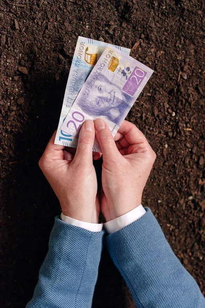 在农业综合企业启动瑞典货币银行贷款和 debel — 图库照片