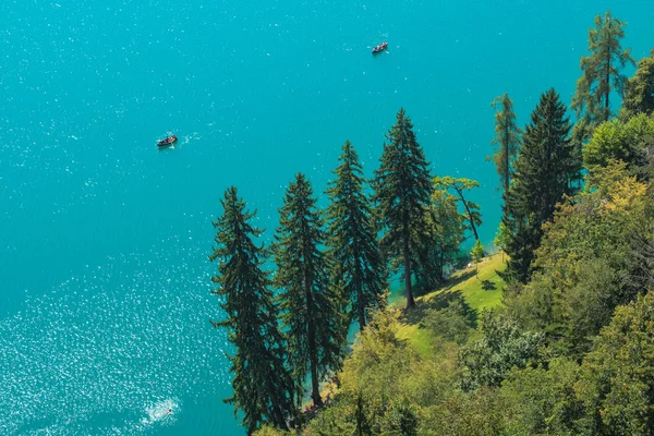 Vue aérienne de pins et sapins au bord du lac de Bled — Photo