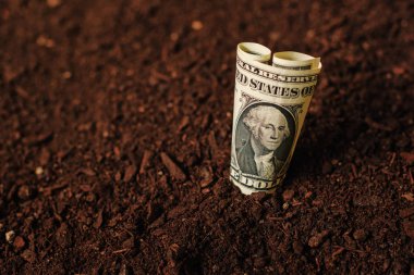 Doları banknot nakit para toprak zemin, Ziraat gelir