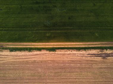 Drone point of view on cultivated wheat field clipart