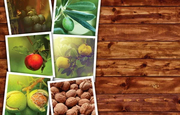 Organic fruit production, photo collage with copy space — Stock Photo, Image