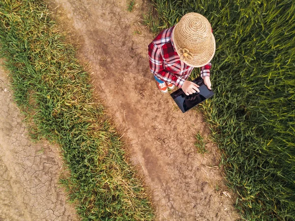 Agricultora usando tablet digital no campo de trigo verde — Fotografia de Stock