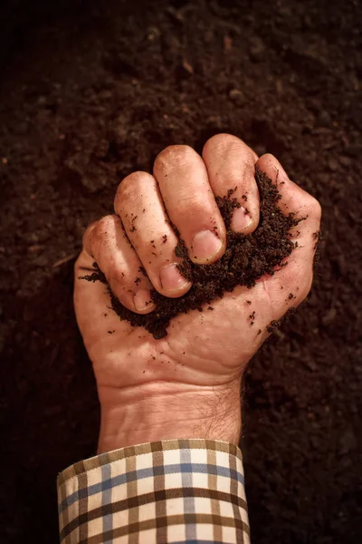 Terreno fertile in mani maschili sporche — Foto Stock