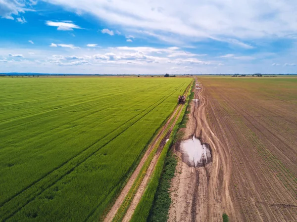 Tractor en la carretera del campo a través del campo de trigo, drone pov — Foto de Stock