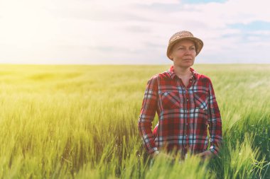 Kadın çiftçi ekili buğday alanında poz