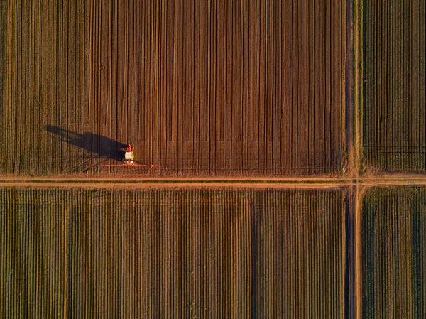 Tractor agrícola con rociador de cultivos en cultivo de maíz f —  Fotos de Stock