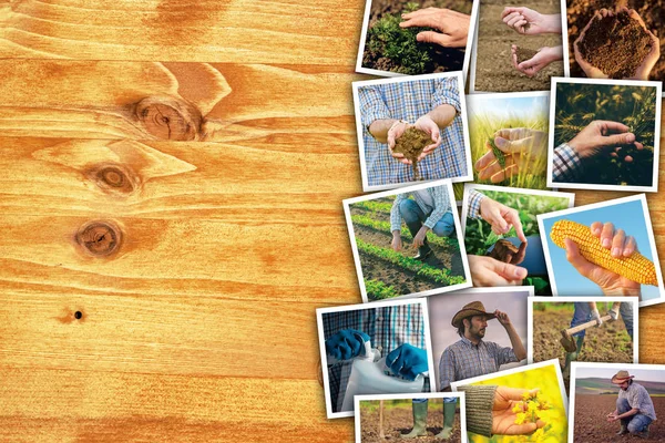 Hombre en la agricultura y la agricultura, collage fotográfico con espacio de copia —  Fotos de Stock