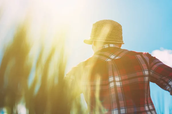 Agricoltrice che guarda il sole all'orizzonte — Foto Stock