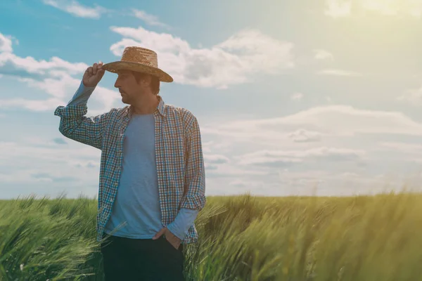 Homem agricultor caminhando através de um campo de trigo verde — Fotografia de Stock