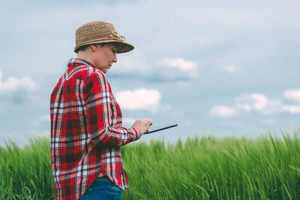 タブレット コンピューターを使用して小麦畑で農家の女性 — ストック写真