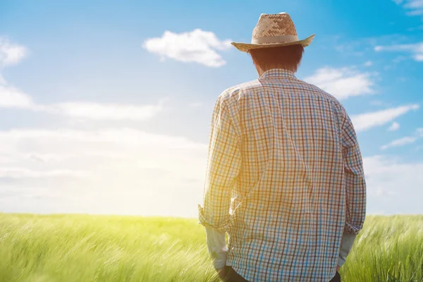 Фермер дивиться на сонце на горизонті — стокове фото