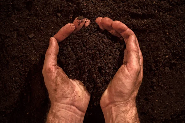 Vruchtbare grond in vuile mannelijke handen — Stockfoto