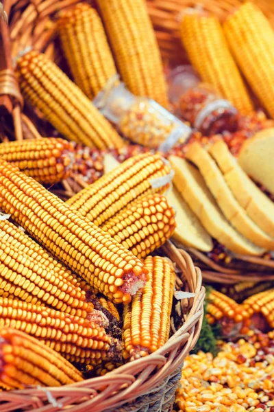 Mazorcas de maíz en cesta — Foto de Stock