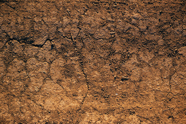 Country dirt road texture